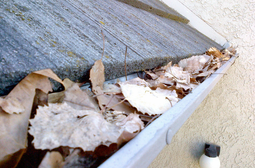 How to Avoid Damage to Your Home with Proper Gutter Maintenance
