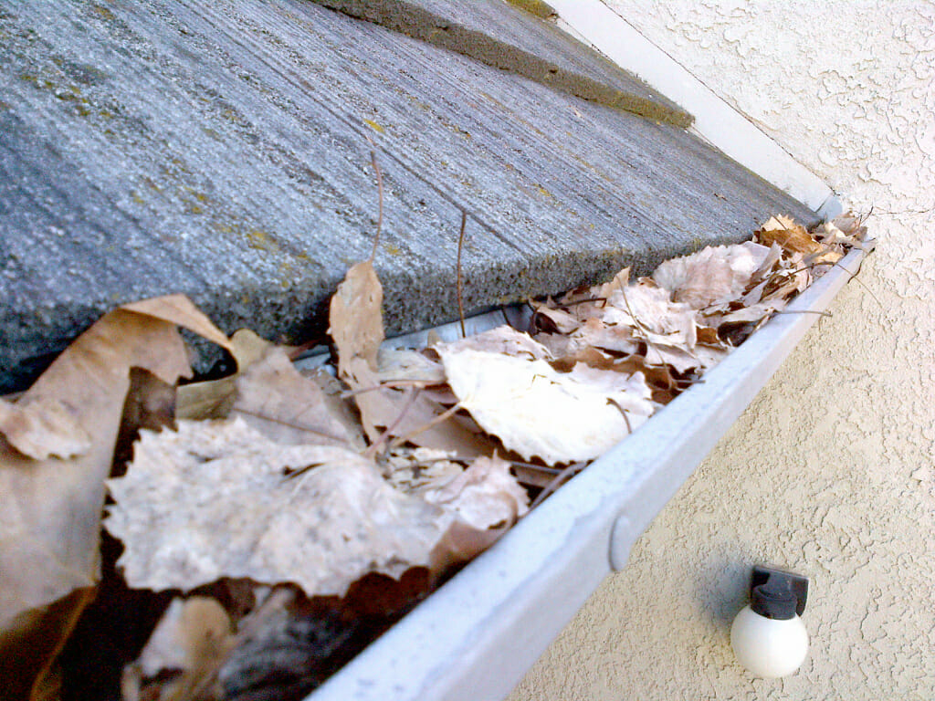 gutter maintenance