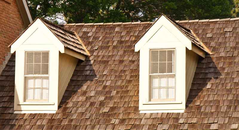 roof style in Minneapolis MN