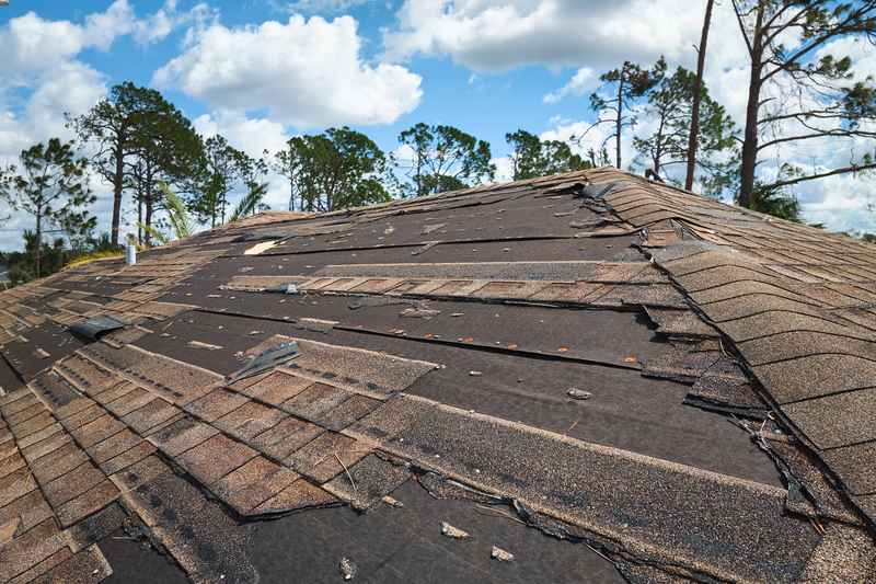 summer roof damage in Minneapolis MN